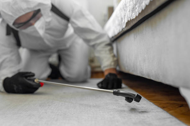 Professional Ant Control technician working in Round Lake Heights, IL
