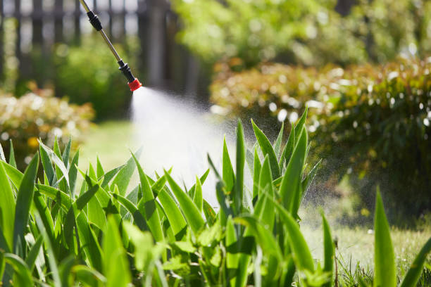 24/7 Emergency Ant Control experts in Round Lake Heights, IL